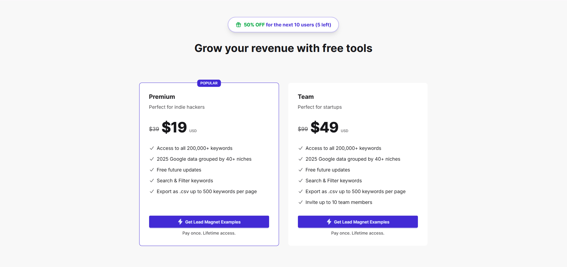 Lead Magnet Examples Pricing - Lifetime access pricing options