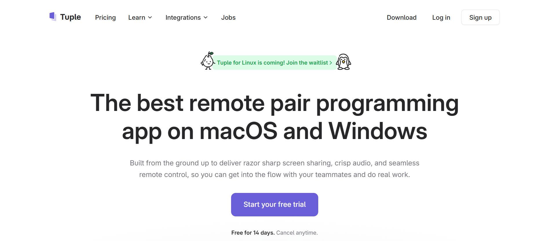 Tuple Review: The 'Razor Sharp' Remote Pairing Blueprint for Engineers